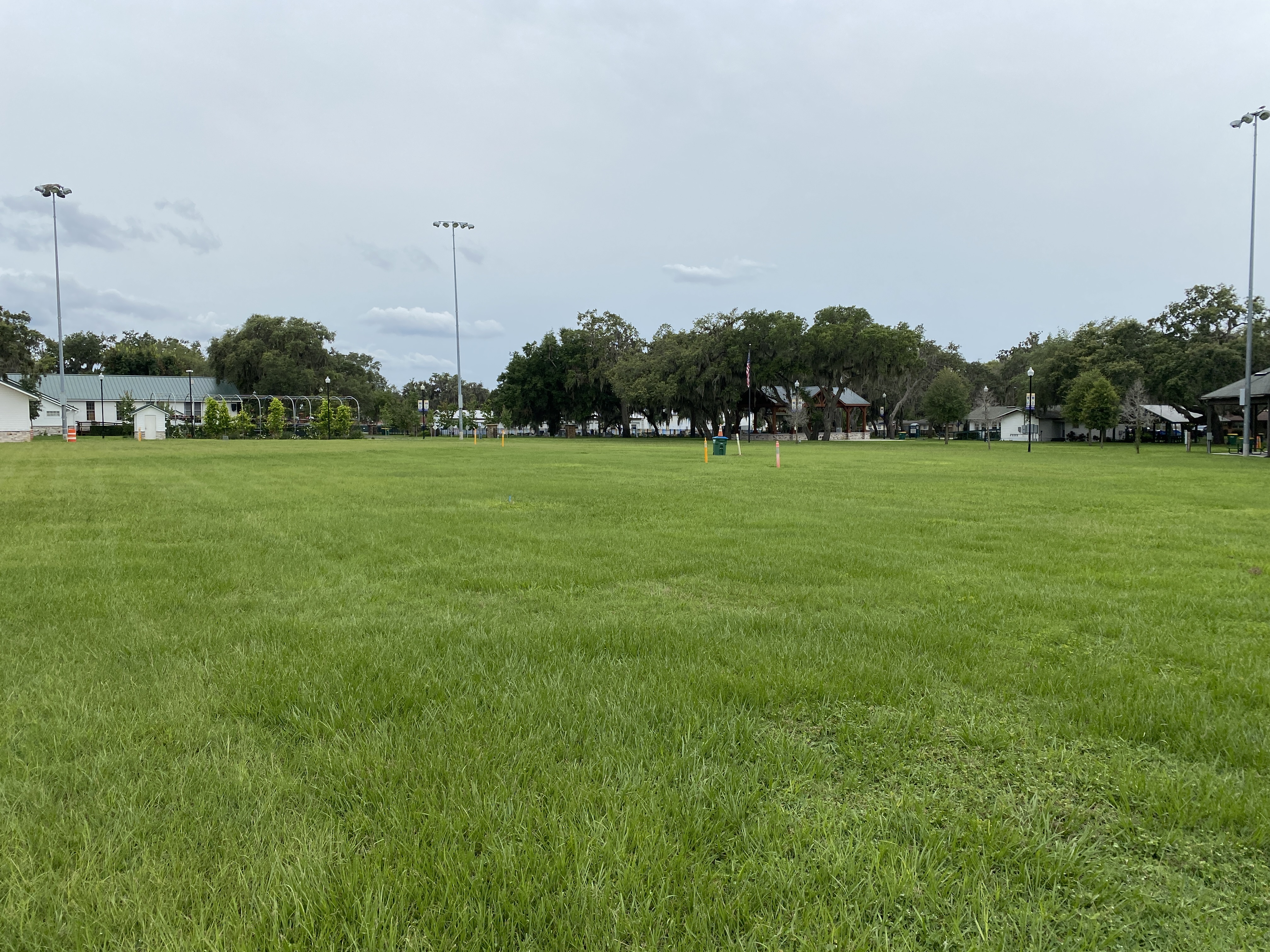 Field background
